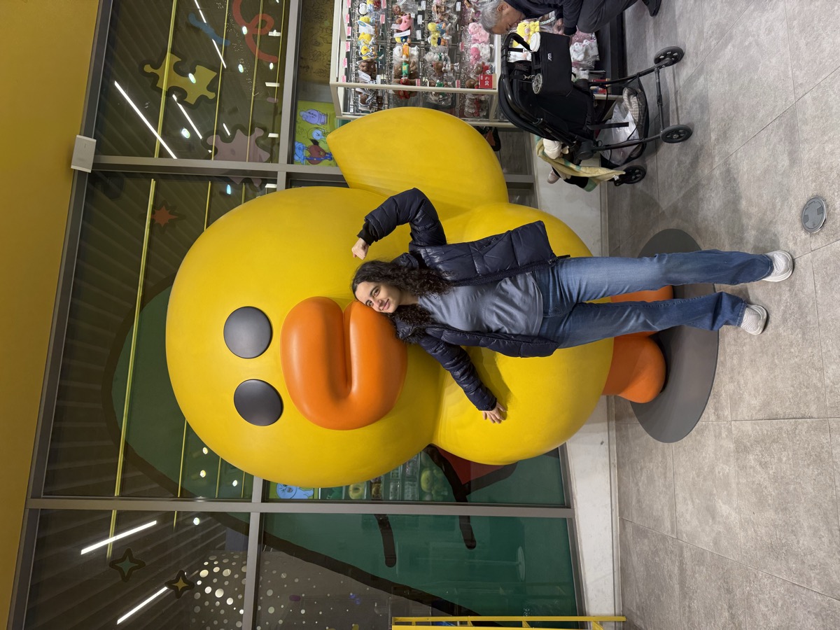 Seoul — Line Friends store